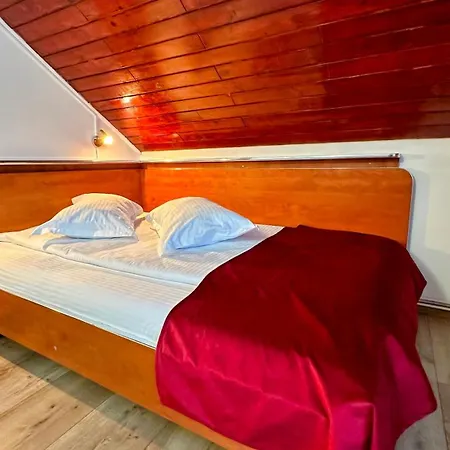 Pensjonat Valea Alba View - Self Check-in Buşteni