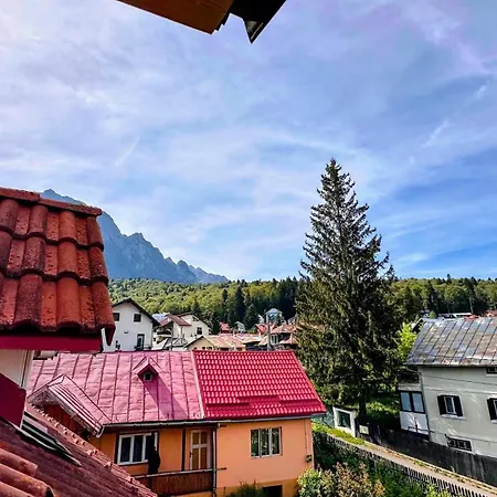 Pensjonat Valea Alba View - Self Check-in 3*