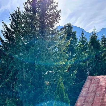 Valea Alba View - Self Check-in Pensjonat Buşteni