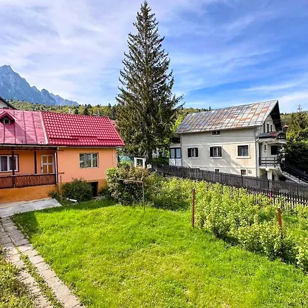 Pensjonat Valea Alba View - Self Check-in Buşteni