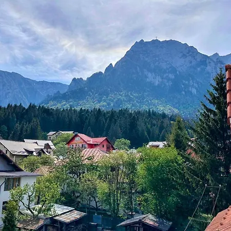Guest house Valea Alba View - Self Check-in Busteni